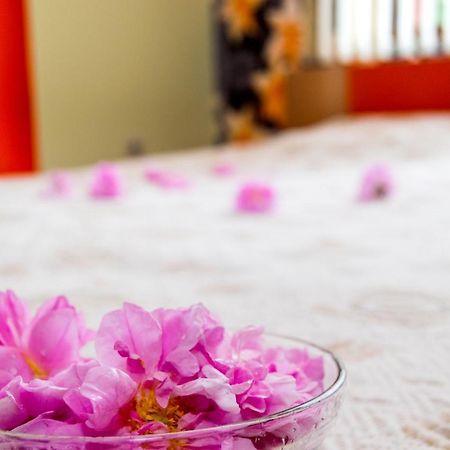 Family Hotel Kavrakovi Pavel Banya Εξωτερικό φωτογραφία