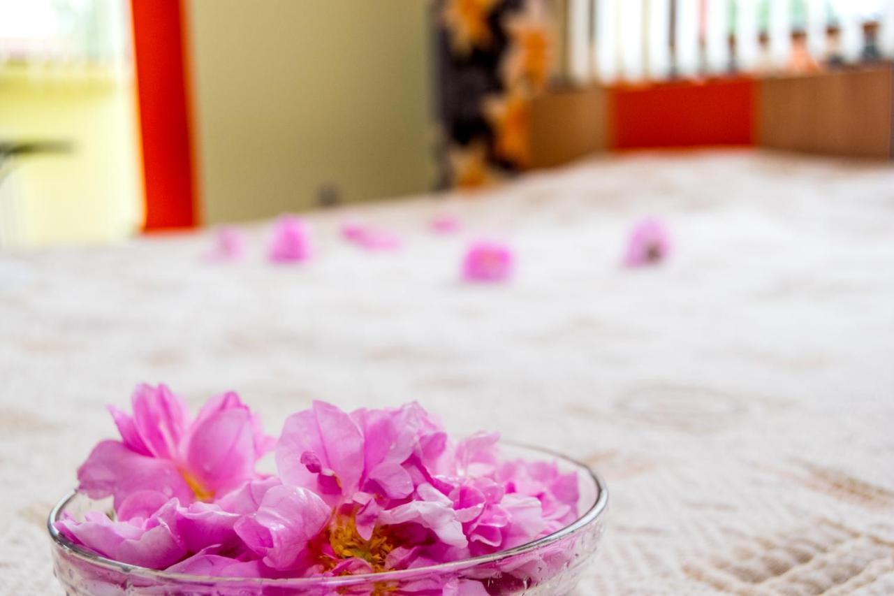 Family Hotel Kavrakovi Pavel Banya Εξωτερικό φωτογραφία